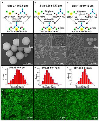 Use of Submicron Vaterite Particles Serves as an Effective Delivery Vehicle to the Respiratory Portion of the Lung